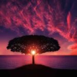 Eros Radio Europe® | Diffuseur et Gestionnaire de Contenus Audiovisuels